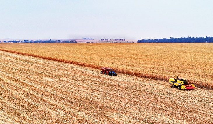 Ms Foi O Terceiro Estado Do Brasil Que Mais Gerou Vagas No Agroneg Cio O Consumidor News